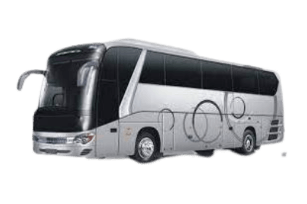 BUS PARIWISATA 30 Seat